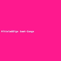 Mittelmäßige Samt-Zange