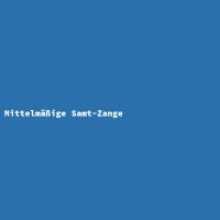 Mittelmäßige Samt-Zange